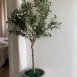 Holiday home Stonehouse Oasis - Sant Isidoro (Apulia)