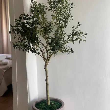 Vakantiehuis Stonehouse Oasis - Sant Isidoro (Apulia)